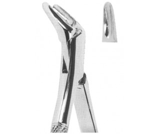 Extracting Forceps American pattern